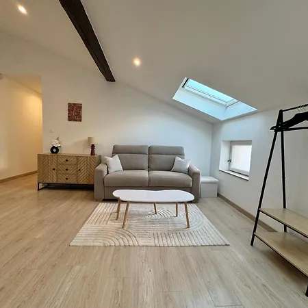 Appartamento Centre Proche Gare Tvg Nancy