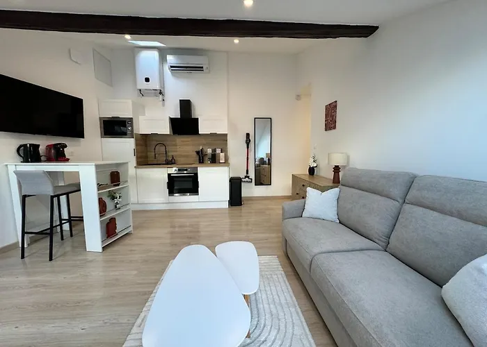 Appartamento Centre Proche Gare Tvg Nancy