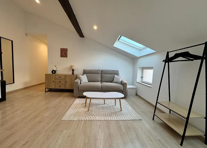 Appartamento Centre Proche Gare Tvg Nancy